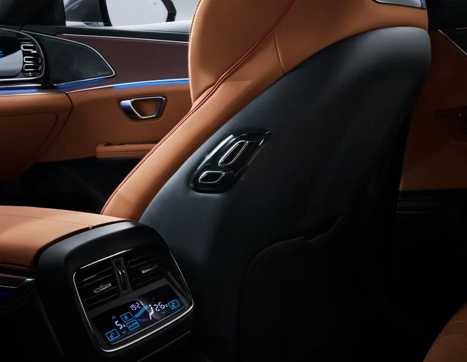 Han Interior Back Seat Controls
